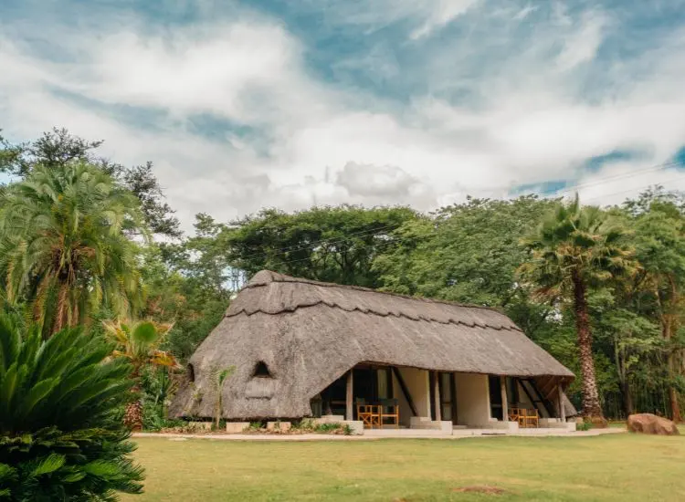 Bushman Rock Safaris