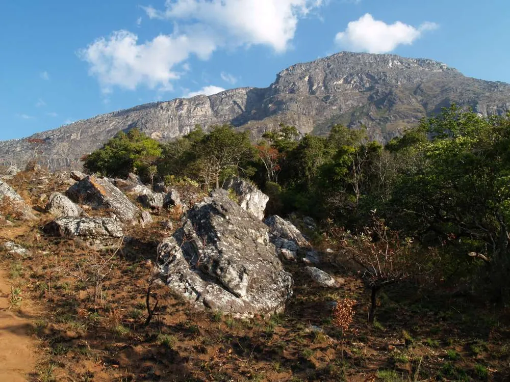 Mt. Binga (Summit)