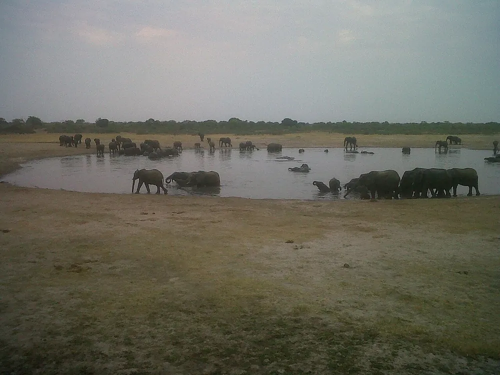 Nyamandhlovu View