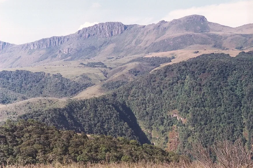 Nyanga National Park