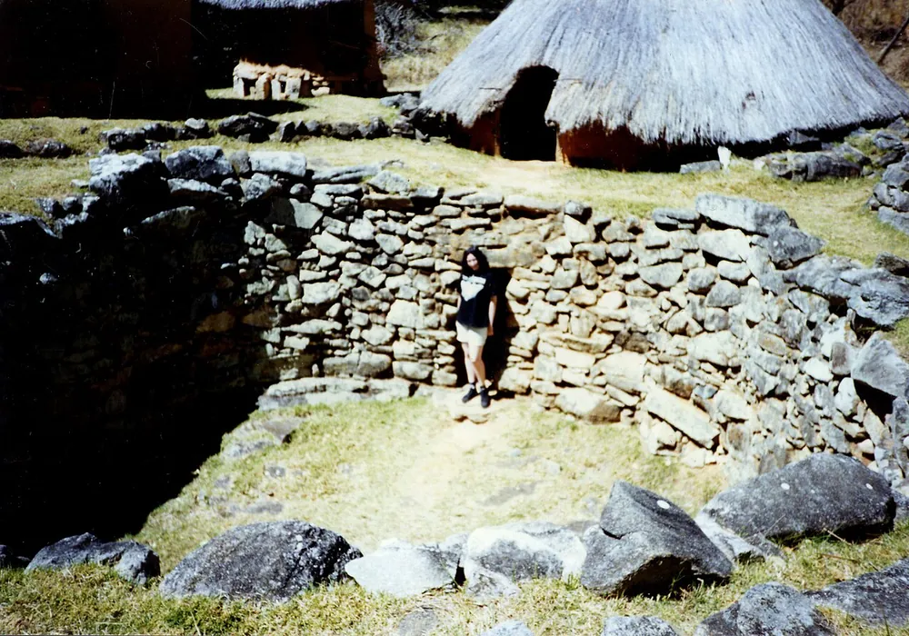 Nyanga Pit Structures