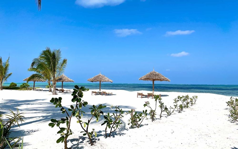 Kamba Travel & Tourism