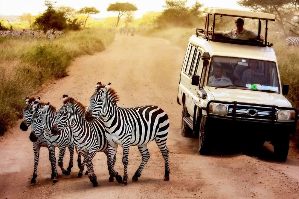 Traverze Travel